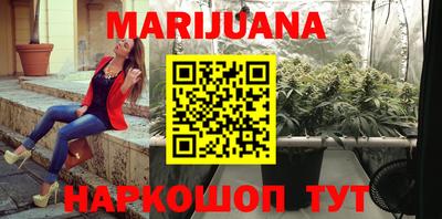 сатива Малгобек
