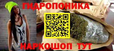 сатива Малгобек
