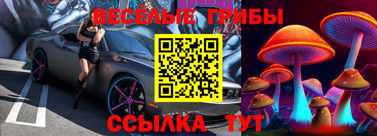 Галлюциногенные грибы мицелий Городец