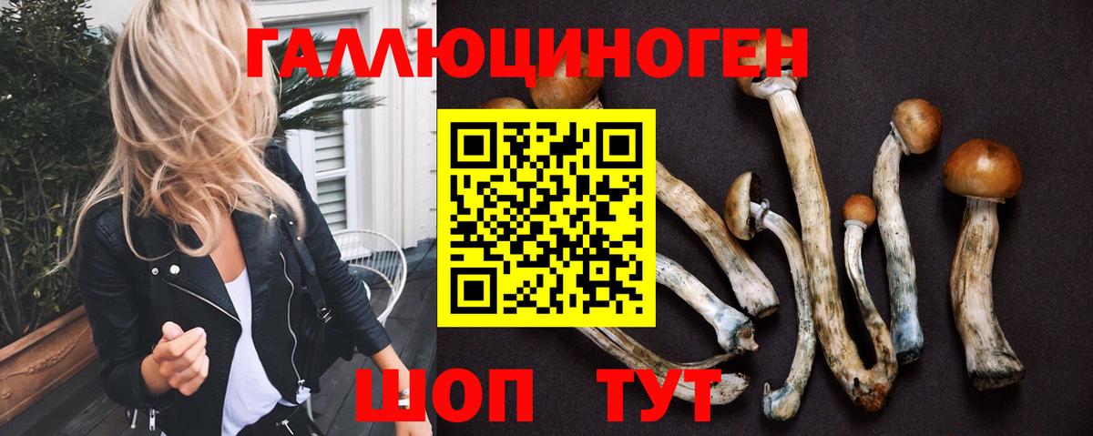 Псилоцибиновые грибы Cubensis  Вход с VPN  Галлюциногенные грибы Magic Shrooms  Городец 